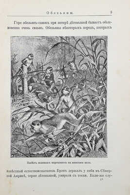 Дружбин П.В. И все это правда! Ум и нравы животных. СПб., 1900.